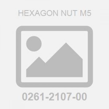 Hexagon Nut M5